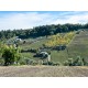 Properties for Sale_Farmhouses to restore_Ruin and an agricultural accessory for sale in Le Marche_15